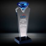 What Are Some Popular Types of Sales Awards?